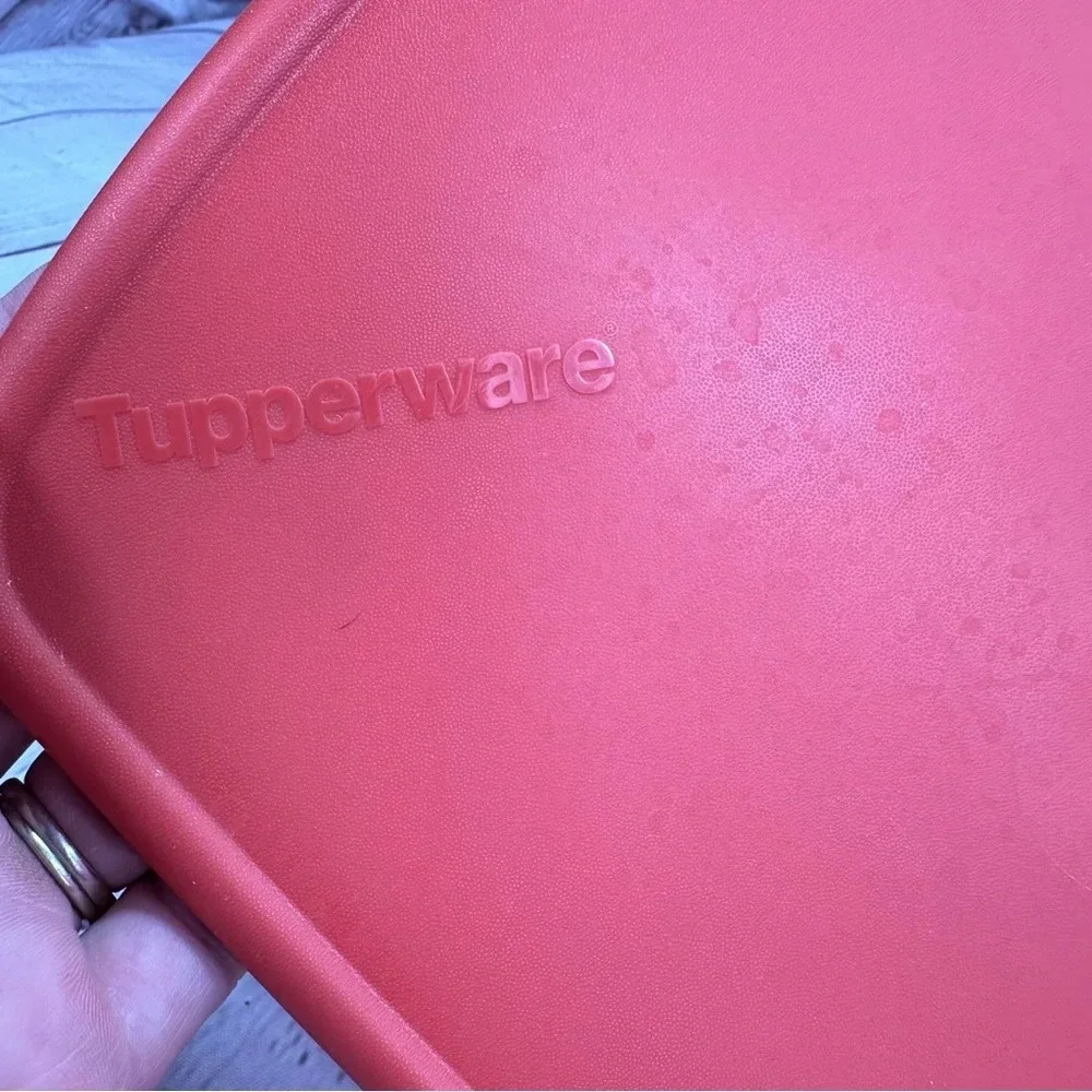 tupperware vent n serve red divided dish rectangle food prep